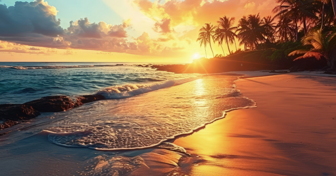 Golden sunset over a palm-lined Goa beach